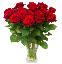 Red Rose Vase